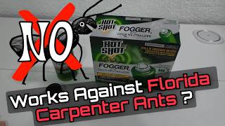 I Heard NOISES in My Attic… Then I Tried This Fogger (Carpenter Ants in Florida)