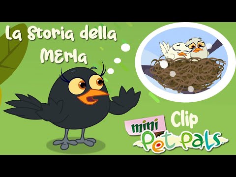 Mini Cuccioli: la storia della Merla - Clip dei Mini Cuccioli in Inglese - Cartoni per bambini