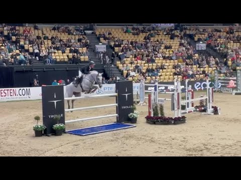 Zuccero HV v. Zirocco Blue und R.G. Bengtsson: 1,50 Meter GP in Herning - Umlauf