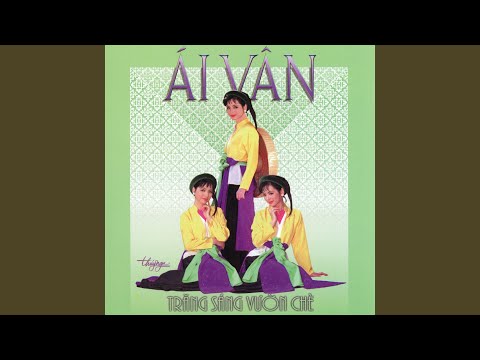 Anh đi về đâu Sheet - Ái Vân