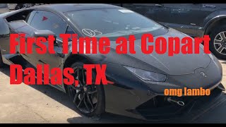 FIRST TIME AT COPART DALLAS EXPERIENCE (LAMBO, VIPER, i8, Things to Know)
