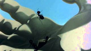 Les Big Byrd - Vi Borde Prata Men Det Är För Sent (HD)