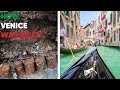 How And Why Venice Built
