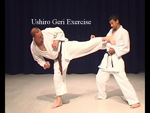 Ushiro Geri Back Kick Shotokan Karate Exercise