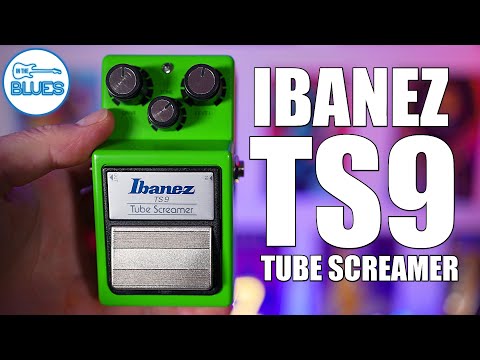 Ibanez TS9 Tube Screamer - How it Really Sounds!
