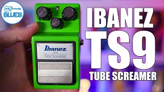 Ibanez TS9 Tube Screamer - What To Know & Where To Buy | Equipboard
