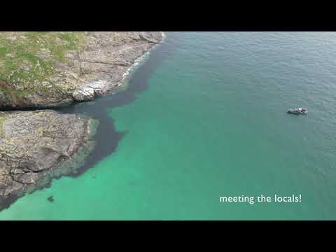 Swimming with the Seals at Mingulay