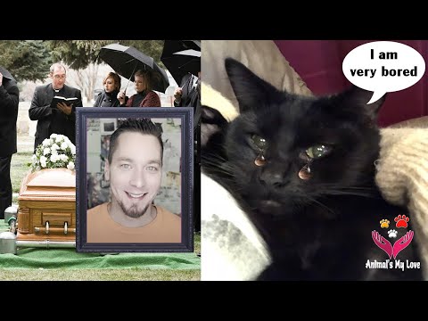 Updated Situation of Sylvester and Steve Cash's pets after he passed away, Animal's My Love