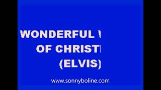 WONDERFUL WORLD OF CHRISTMAS