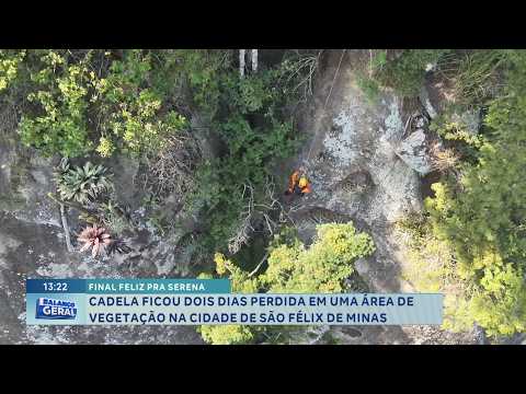 São Félix de Minas: Cadela é encontrada após dois dias perdida.