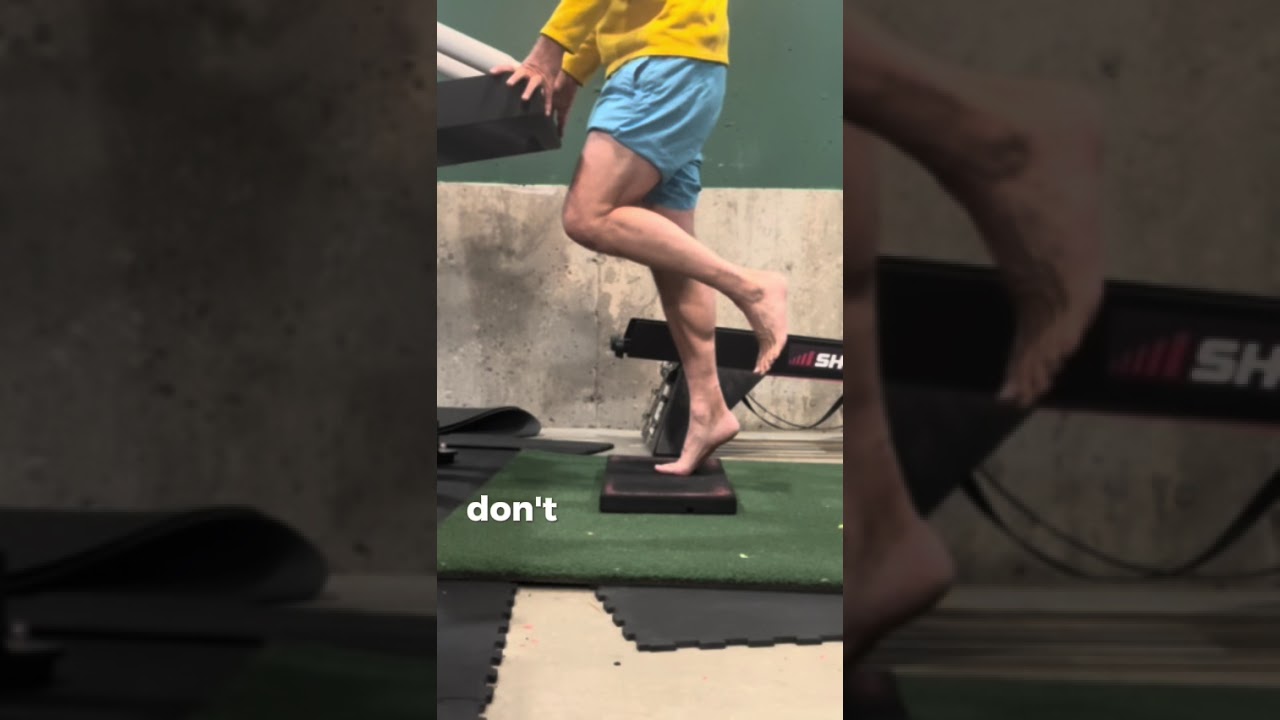 Spring Ankle Model Basics explained