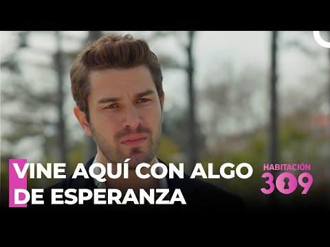 Onor Lanzo Los Anillos - Habitación 309