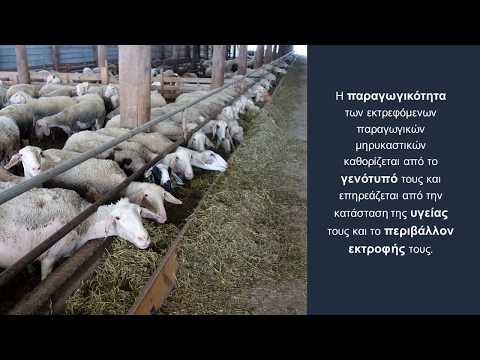 , title : 'Διατροφή Αγροτικών Ζώωv - Βασικές αρχές - Σιτηρέσιο'