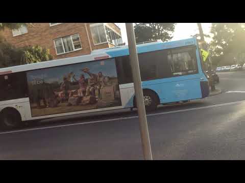 Sydney Volvo Buses Winter 2022