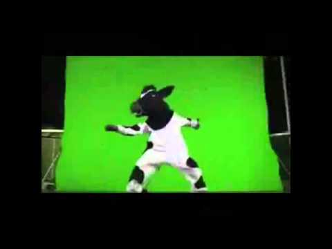 a vaquinha mococa-REMIX