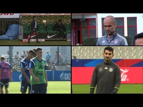 Guardiola nach CL-Aus: "Dann habe ich versagt"