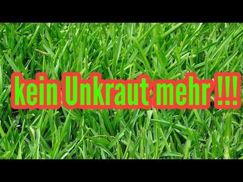 No more removing WEEDS in the LAWN I have INVENTED something against weeds Moss in the lawn April...