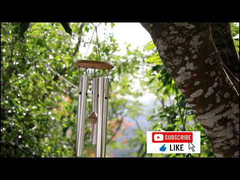 WIND CHIME HANGING ON A TREE # RELAXING SOUND #LIFE STYLE WITH HABIBA