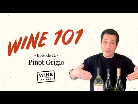 Pinot Grigio 101