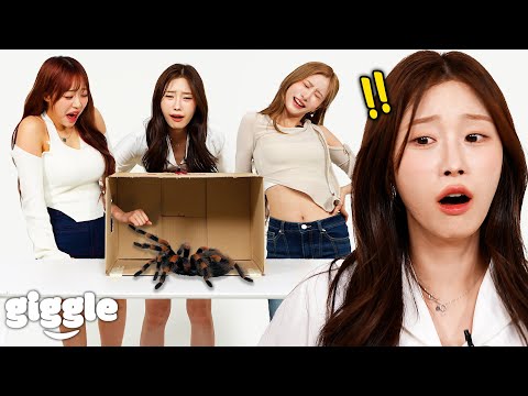 Korean Girls Try What's In The Box Challenge..! (Ft. cignature)