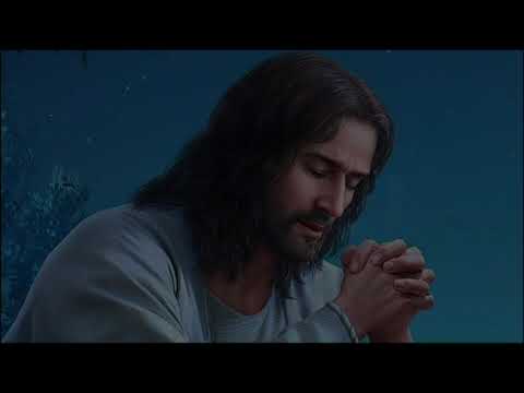 Fóti Princo Phurde pe má