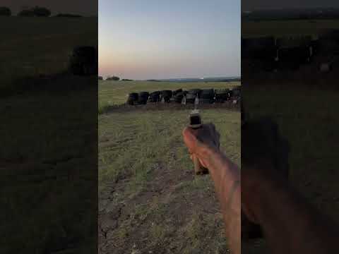 BB Glock 19x Vs Real 19x