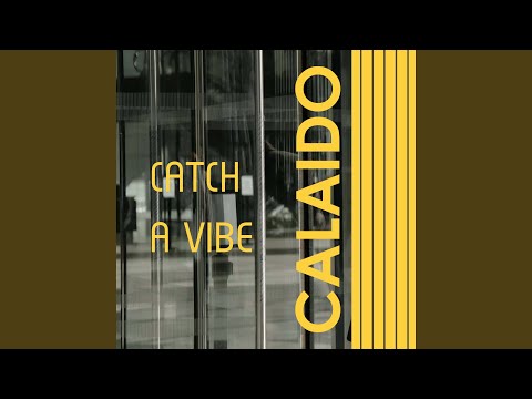 Catch A Vibe