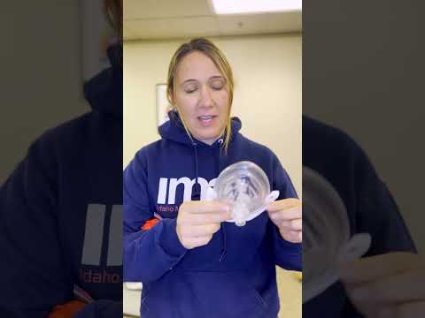 Part of a video titled 60 Seconds To Save a Life: Pocket Mask #cpr #pocketmask #emt