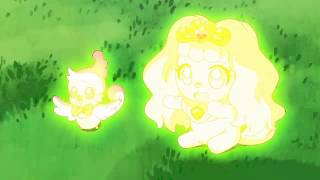 Pafu y Aroma Transformacion