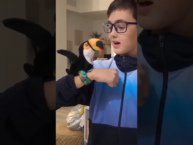 Vídeo relacionado con Zappi Co Peluche Suave y Acogedor para niños - Compañeros de Juego Suaves niños en Estilo Impreso (28 cm de Longitud) (Papagayo Ara Escarlata).