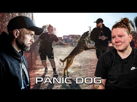 "C'était la pire erreur de notre vie !" - Malinois Agressif - Panic Dog Ep20