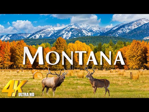 Montana (4K UHD) Fall Beauty – Cinematic Views of Autumn in Montana | Amazing Nature
