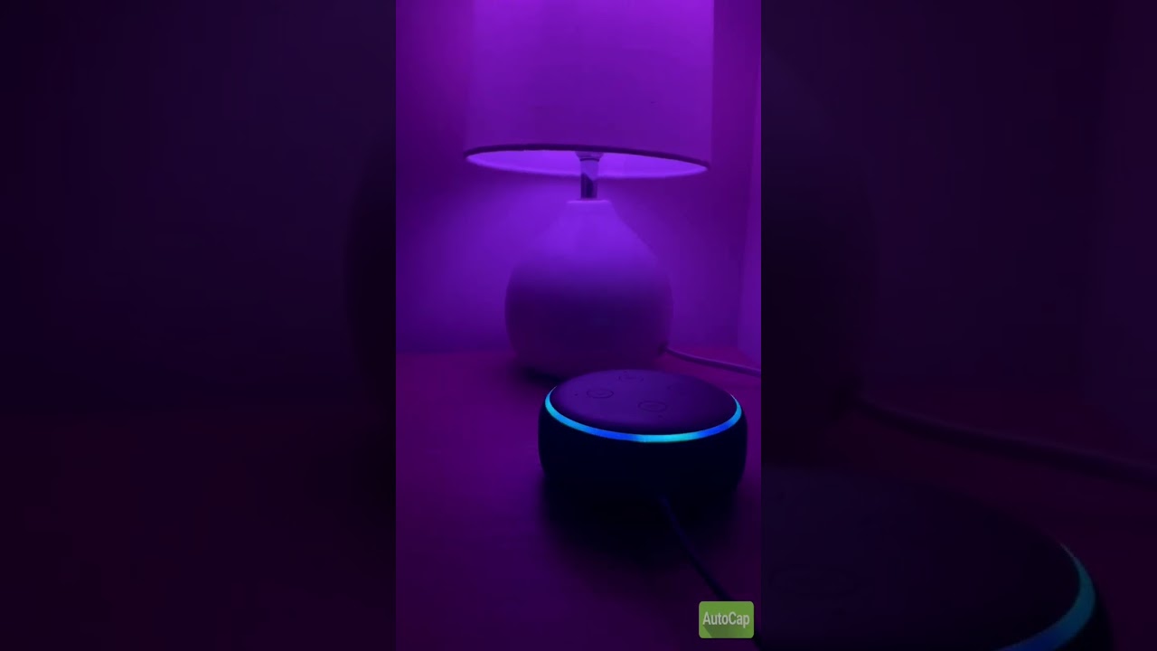 Connect your Spotify account with Amazon Alexa for music. #ytshorts