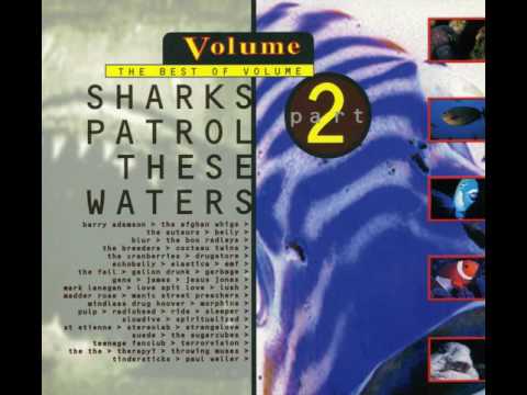 Thumbnail for Tanya Donelly – White Belly (Solo Demo Version) by Tanya Donelly