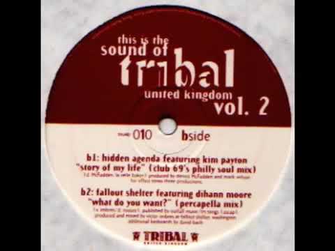 Fallout Shelter feat Dihann Moore What Do You Want  Percappella Mix