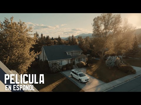 ¡Una esposa traicionada prepara la venganza perfecta! | Cat City | Película completa