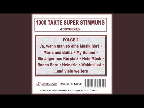 Foxtrott-Oldies Medley: Bel Ami / Wenn der weiße Flieder wieder blüht / Du hast so...