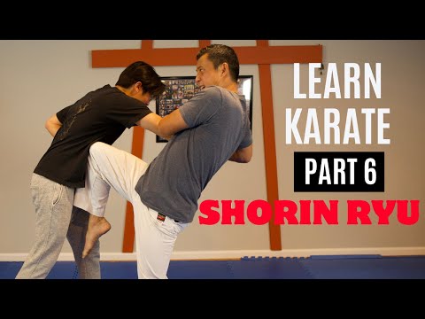 Martial Arts Tutorial | SHORIN RYU style | Part 6 (Naihanchi Nidan kata and applications)