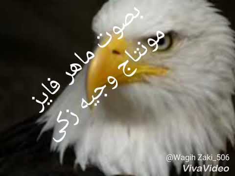 انا ساكن في حصون الصخر وليا جناح النسر