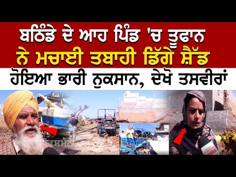 Bathinda ਦੇ ਆਹ ਪਿੰਡ 'ਚ ਤੂਫਾਨ ਨੇ ਮਚਾਈ ਤਬਾਹੀ, ਡਿੱਗੇ ਸ਼ੈੱਡ, ਹੋਇਆ ਭਾਰੀ ਨੁਕਸਾਨ, ਦੇਖੋ ਤਸਵੀਰਾਂ
