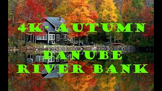 Autumn vibes - Danube river bank - (Őszi ) 🍁 2020 - BUDAPEST, HUNGARY 🍂