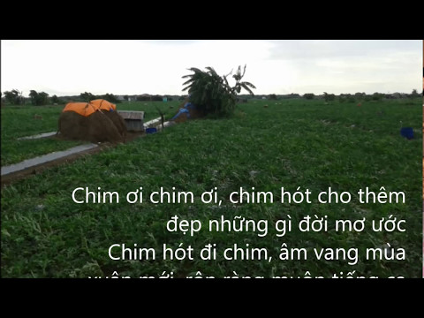 Tiếng chim mùa xuân - Bảo Yến