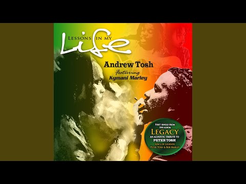 Lessons In My Life (feat. Kymani Marley)