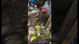 VISITING SPANISH TOWN IN JAMAICA 🇯🇲 #spanishtown #spanishtownjamaica #jamaica #jamaicatravel