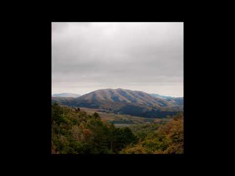 Dirty Projectors & Björk - On and Ever Onward
