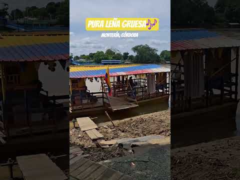 MONTERÍA,  CÓRDOBA ✨️ avenida primera!! #colombia #montería  #tierradeensueño #riosinu #reels