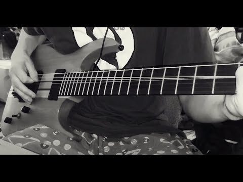 every guitarist after hearing josh travis