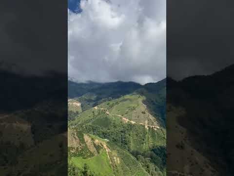 Rovira  - tolima                                             #travel #viral