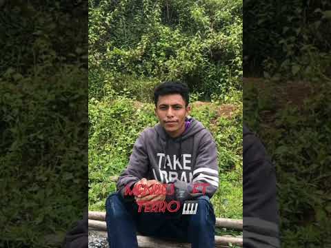 Haluha Rai Cover Ca Mendes🎵