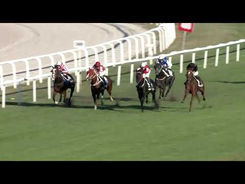 2018.09.30. 07. futam - BÁRÓ WESSELÉNYI MIKLÓS EMLÉKVERSENY (Elit kat.)